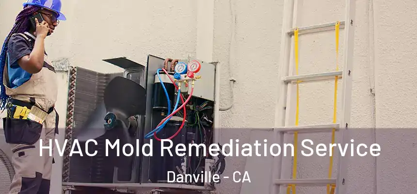  HVAC Mold Remediation Service Danville - CA