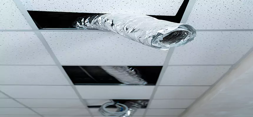 Affordable HVAC Sanitizing After Pest Removal in Danville