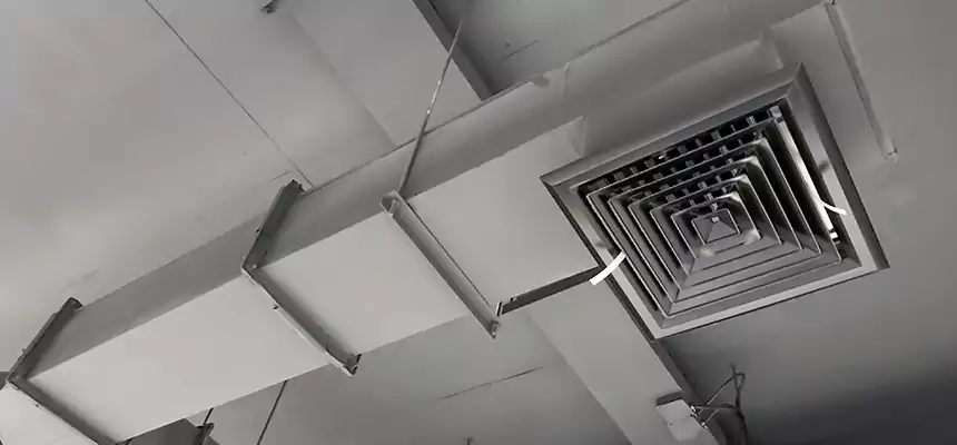 Our Rodent Droppings In Vents Services in Danville, CA