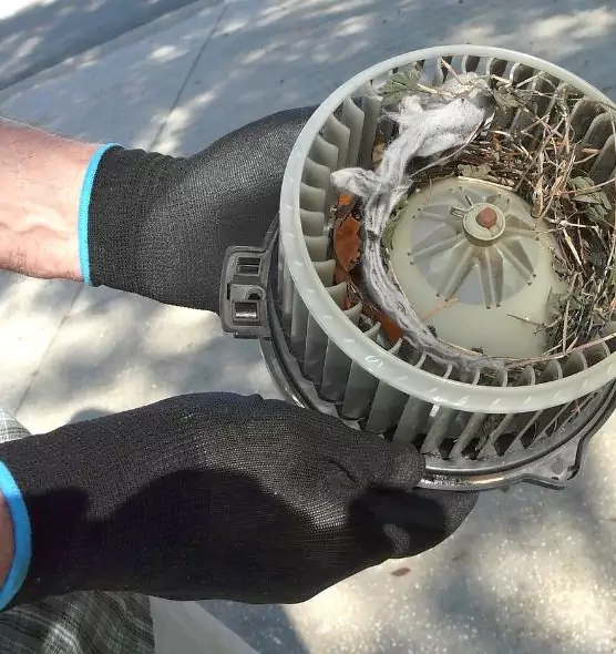 About Air Duct Mice Removal in Danville, CA