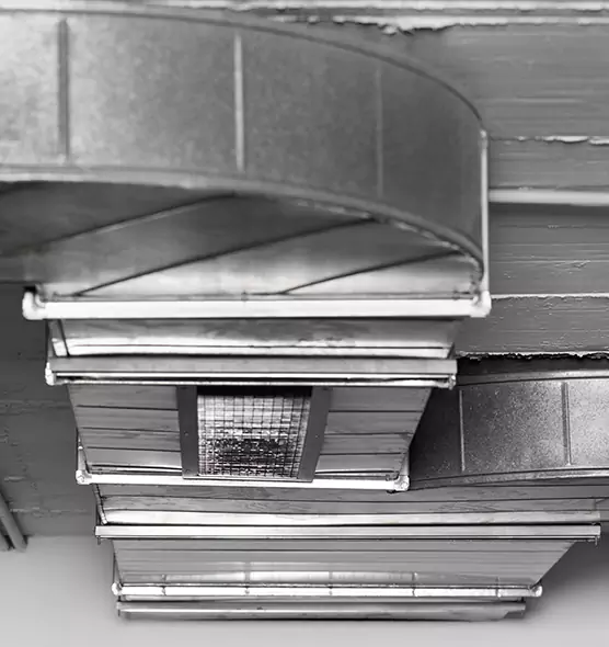 Professional Air Duct Pest Removal in Danville, CA