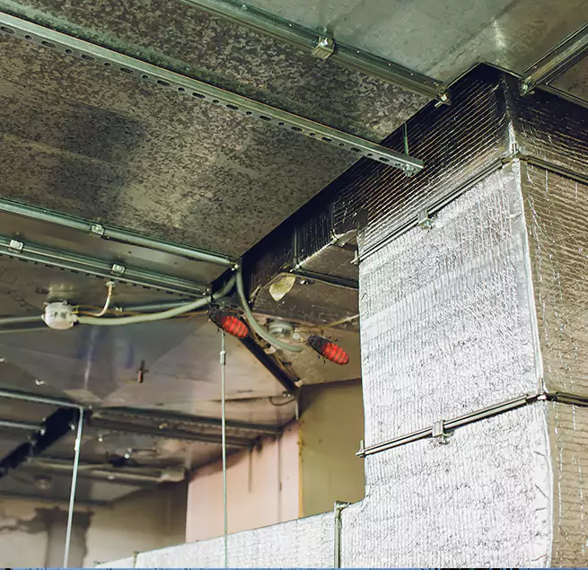 Why Homeowners & Businesses Trust Us Danville, CA?