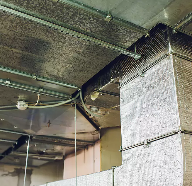 Why Homeowners & Businesses Trust Us in Danville, CA?